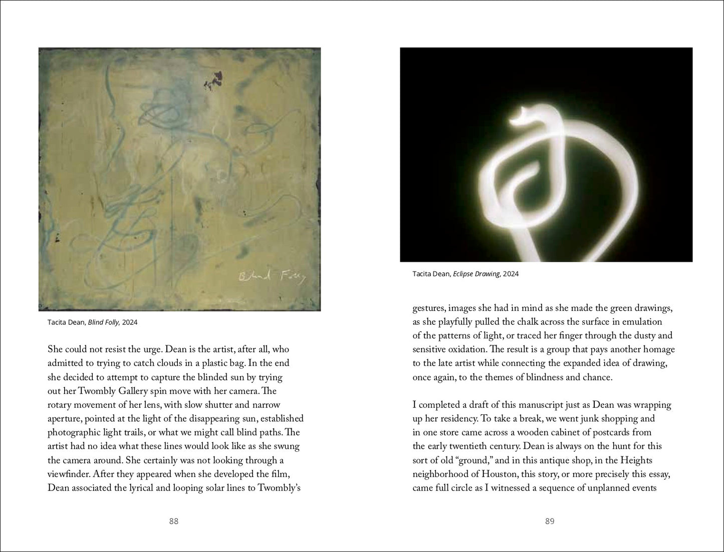 Blind Folly or How Tacita Dean Draws