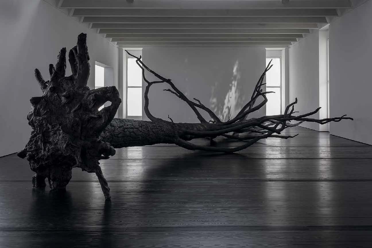 Allora & Calzadilla: Specters of Noon