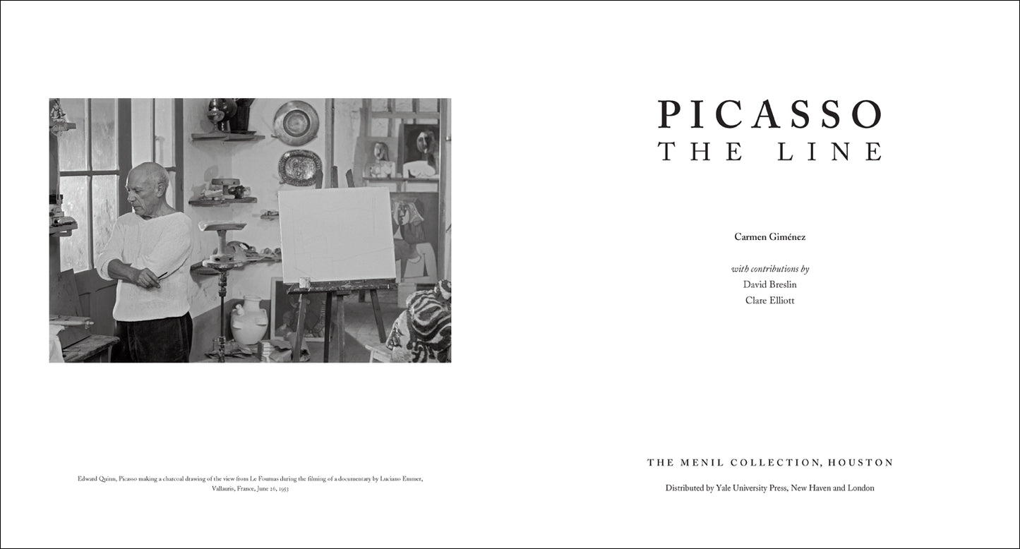 Picasso The Line