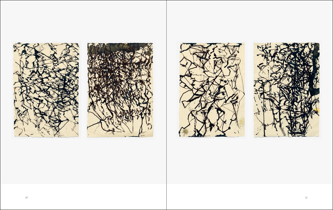 Think of Them as Spaces: Brice Marden's Drawings – Menil Bookstore