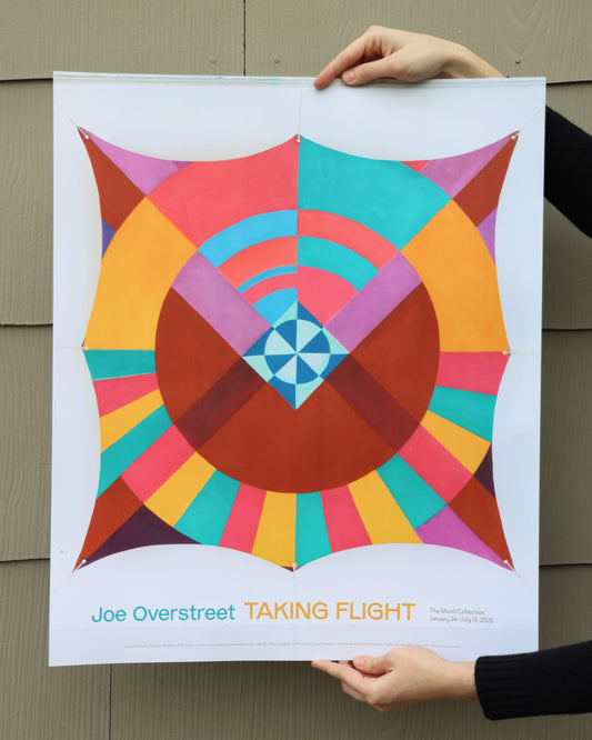 Joe Overstreet: Taking Flight Poster