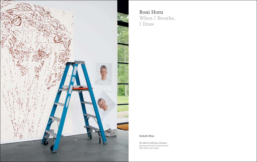 Roni Horn: When I Breathe, I Draw